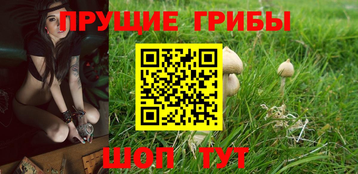 Галлюциногенные грибы Magic Shrooms Лысьва